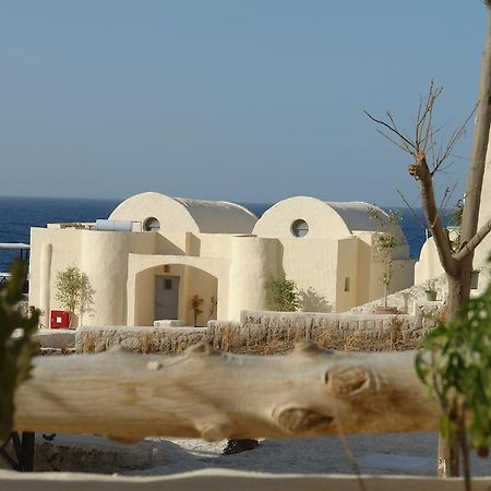 מלון אבו דבאב The Oasis מראה חיצוני תמונה