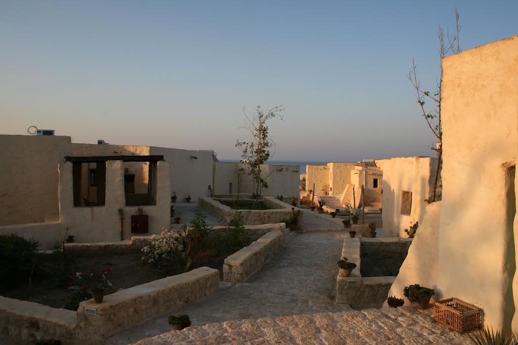 מלון אבו דבאב The Oasis מראה חיצוני תמונה