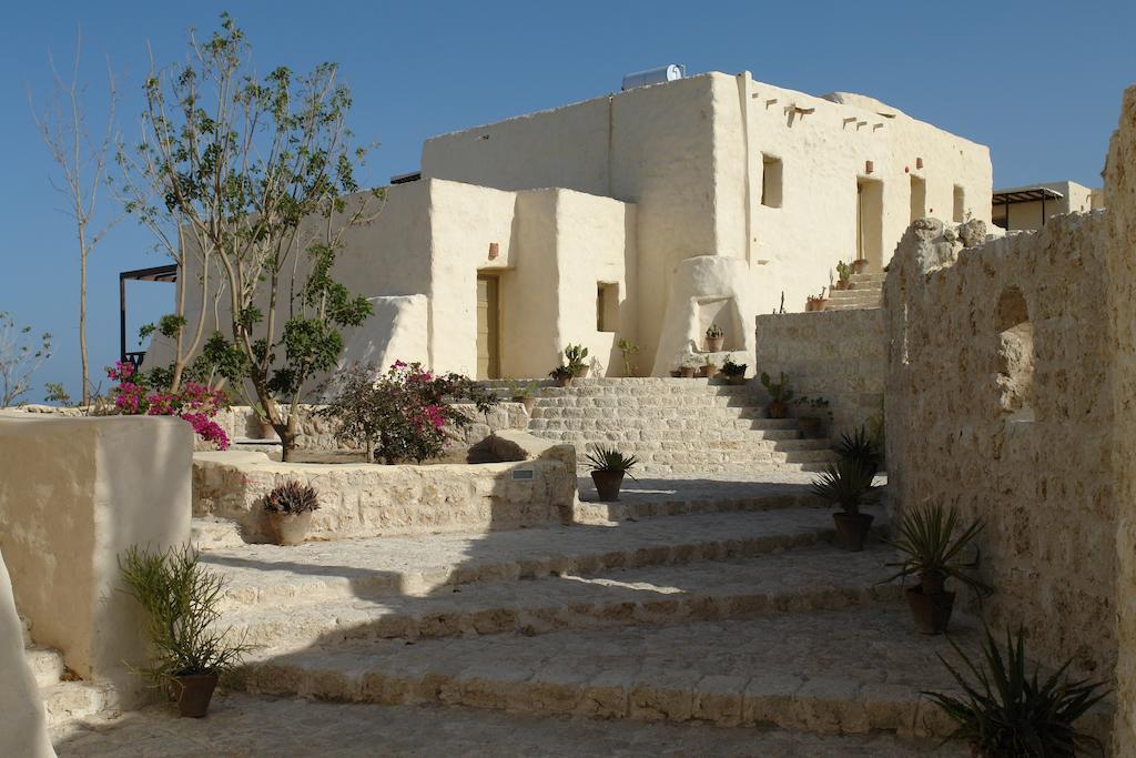 מלון אבו דבאב The Oasis מראה חיצוני תמונה