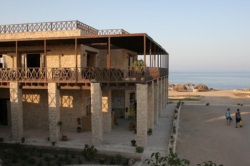 מלון אבו דבאב The Oasis מראה חיצוני תמונה