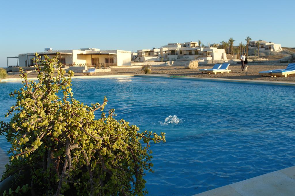 מלון אבו דבאב The Oasis מראה חיצוני תמונה
