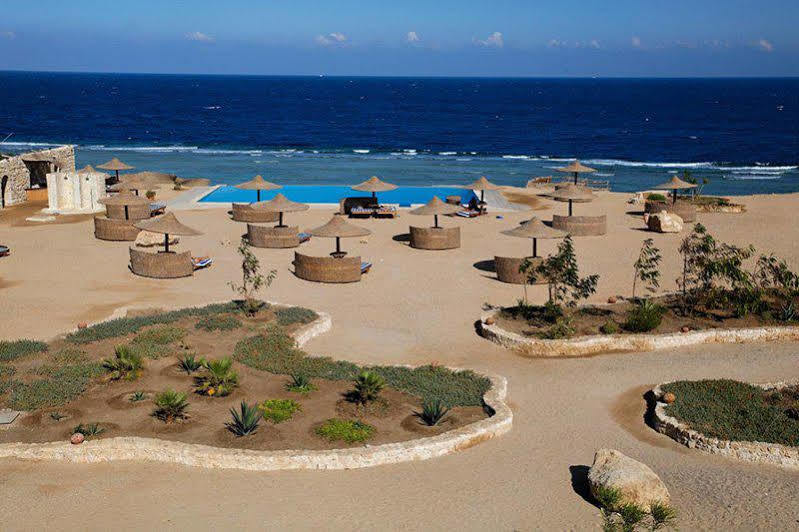 מלון אבו דבאב The Oasis מראה חיצוני תמונה